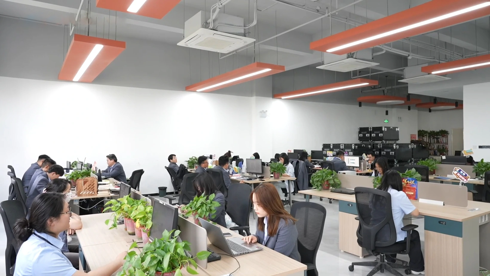 Stellux open-plan office with staff at their desks